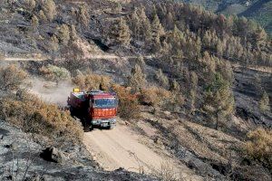 Los bomberos siguen trabajando en la extinción del incendio de Castellón, dos semanas después