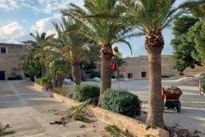 La Semana Santa anticipa la campaña de primavera en los parques y jardines de Alicante con nuevas plantas y flores - (foto 2)