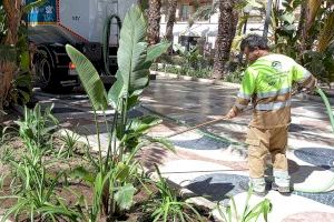 La Semana Santa anticipa la campaña de primavera en los parques y jardines de Alicante con nuevas plantas y flores - (foto 4)