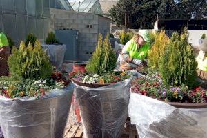 La Semana Santa anticipa la campaña de primavera en los parques y jardines de Alicante con nuevas plantas y flores - (foto 5)