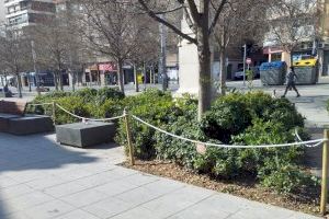 La Semana Santa anticipa la campaña de primavera en los parques y jardines de Alicante con nuevas plantas y flores - (foto 7)
