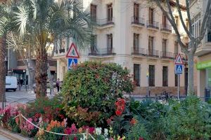 La Semana Santa anticipa la campaña de primavera en los parques y jardines de Alicante con nuevas plantas y flores - (foto 8)