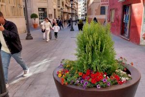 La Semana Santa anticipa la campaña de primavera en los parques y jardines de Alicante con nuevas plantas y flores - (foto 10)