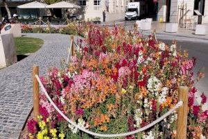 La Semana Santa anticipa la campaña de primavera en los parques y jardines de Alicante con nuevas plantas y flores - (foto 14)