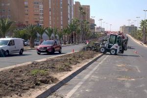 La Semana Santa anticipa la campaña de primavera en los parques y jardines de Alicante con nuevas plantas y flores - (foto 17)