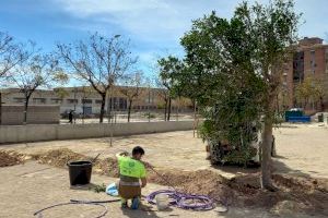 La Semana Santa anticipa la campaña de primavera en los parques y jardines de Alicante con nuevas plantas y flores - (foto 18)