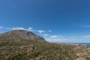 Els bombers atallen un incendi amb dos focus en el Montgó