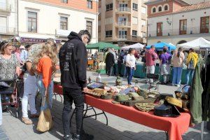 Nules commemora el Dia del Llibre amb una fira molt participativa - (foto 7) Nules commemora el Dia del Llibre amb una fira molt participativa - (foto 7)