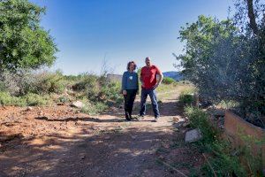 Herrera (PSPV-PSOE) afirma que el sector agrícola será un eje prioritario en el futuro gobierno de Alcalà-Alcossebre