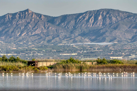 Crevillent obté el reconeixement de municipi turístic de singularitat