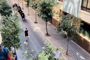 Variedad de procedencias en el concurso de ganaderías de Santa Quitèria en Almassora Variedad de procedencias en el concurso de ganaderías de Santa Quitèria en Almassora