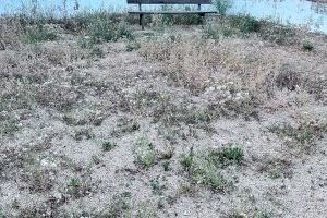 Daniel Meseguer garantiza el trabajo que cree zonas de ocio accesibles y seguras para los niños de Navajas