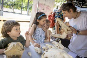 Escena Erasmus de la Universitat de València presenta la gira comarcal 2023 amb el suport de la Diputació - (foto 2) Escena Erasmus de la Universitat de València presenta la gira comarcal 2023 amb el suport de la Diputació - (foto 2)