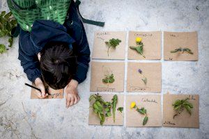 L’IVAM es transforma en un jardí efímer amb motiu del Dia Internacional dels Museus