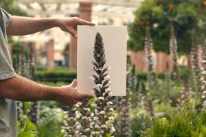 L’IVAM es transforma en un jardí efímer amb motiu del Dia Internacional dels Museus - (foto 2)