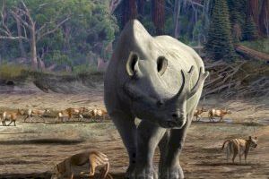 Un estudi sobre l’evolució dels brontotèrids liderat pel paleontòleg de la Universitat Óscar Sanisidro, publicat en la revista ‘Science’ - (foto 2)