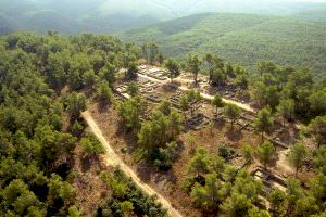 El Museu de Prehistòria dedica a les persones migrants la seua programació especial amb motiu de la nit Europea dels Museus - (foto 2)