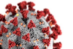 Siguiendo el rastro del SARS-CoV-2 en Mozambique Siguiendo el rastro del SARS-CoV-2 en Mozambique