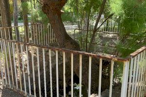 El PP de Elche llevará a cabo la restauración integral y completa del Parque Municipal