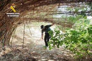 Localitzen a Alacant a un ancià que es va desorientar quan anava a soltar a la seua tortuga en un riu - (foto 2)