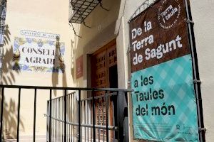 Finalizan las obras de mantenimiento en el camino de Espartar y en el paraje del Salt del Cavall - (foto 5)