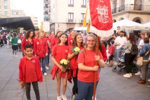 GALERIA | Vila-real honra a Sant Pasqual amb una multitudinària ofrena - (foto 3)