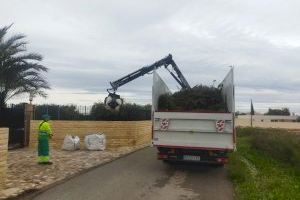 El servicio ‘Puerta a puerta’ cierra su primer año con más de 10.000 avisos y 970.000 kilos de restos de poda recogida - (foto 2) El servicio ‘Puerta a puerta’ cierra su primer año con más de 10.000 avisos y 970.000 kilos de restos de poda recogida - (foto 2)