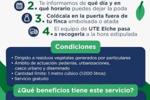 El servicio ‘Puerta a puerta’ cierra su primer año con más de 10.000 avisos y 970.000 kilos de restos de poda recogida - (foto 4) El servicio ‘Puerta a puerta’ cierra su primer año con más de 10.000 avisos y 970.000 kilos de restos de poda recogida - (foto 4)