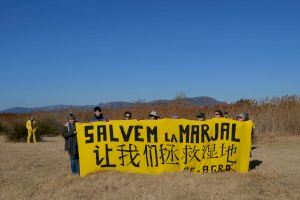 AE-Agró sol·licita a la Generalitat Valenciana la paralització del PAI de la platja del Puig