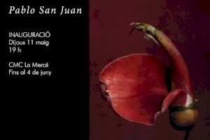 L'exposició fotogràfica ‘Botanica Amoris’ de Pablo San Juan es podrà visitar al CMC la Mercè fins al pròxim 4 de juny - (foto 2) L'exposició fotogràfica ‘Botanica Amoris’ de Pablo San Juan es podrà visitar al CMC la Mercè fins al pròxim 4 de juny - (foto 2)