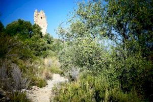 La Generalitat Valenciana aprova la nova delimitació i normativa de protecció de l’entorn de la Torreta dels Moros La Generalitat Valenciana aprova la nova delimitació i normativa de protecció de l’entorn de la Torreta dels Moros