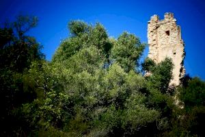 La Generalitat Valenciana aprova la nova delimitació i normativa de protecció de l’entorn de la Torreta dels Moros - (foto 3) La Generalitat Valenciana aprova la nova delimitació i normativa de protecció de l’entorn de la Torreta dels Moros - (foto 3)