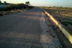 Borriana contractarà aquest estiu 65 persones a través del programa d'Ocupació Agrària 2023 del SEPE - (foto 3)