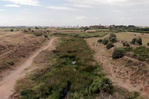 Investigadores de la UPV desarrollan un proyecto que propone renaturalizar el barranco del Carraixet mediante humedales artificiales