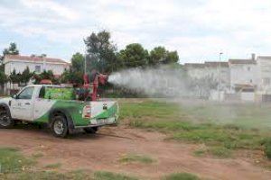Benicàssim refuerza la lucha contra los mosquitos tras las últimas lluvias