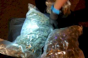 Imágenes cedidas por una persona que se encontraba en las inmediaciones