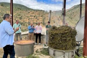 Benaguasil acoge el proyecto europeo SDA para fomentar el empleo juvenil en el sector agrícola