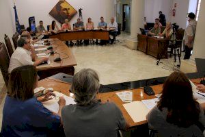 Plens extraordinaris en l’Ajuntament de Dénia - (foto 4) Plens extraordinaris en l’Ajuntament de Dénia - (foto 4)