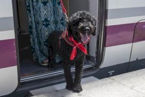 Renfe ofrece el Servicio de Transporte Amigable con perros de hasta 40 kilos al trayecto Madrid-València