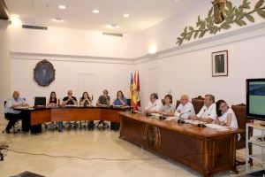 Plens extraordinaris en l’Ajuntament de Dénia - (foto 3) Plens extraordinaris en l’Ajuntament de Dénia - (foto 3)