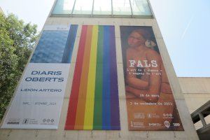 El MuVIM reivindica la diversitat amb Orgull - (foto 6)