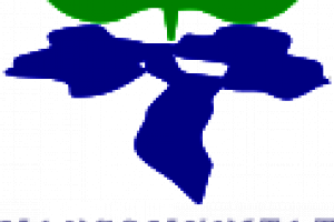 El projecte Canya a la Canya, present en el Congrés Ibèric de Restauració Fluvial - (foto 2)