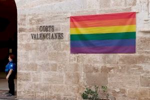 La bandera LGTBI penja en Les Corts a tres dies de la nova legislatura La bandera LGTBI penja en Les Corts a tres dies de la nova legislatura