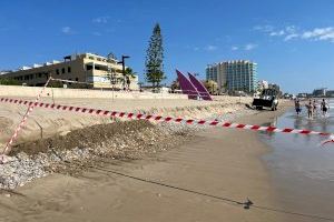 Un metre d'escaló a la platja d'Oropesa: un “perill” per a la nit de Sant Joan Un metre d'escaló a la platja d'Oropesa: un “perill” per a la nit de Sant Joan