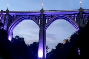 Ontinyent se suma al Dia Internacional de la Sindrome de Dravet il·luminant de morat el Pont de Santa María - (foto 2)