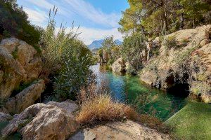 Fuentes del Algar