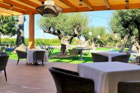 Soletes d'Estiu: Aquests són els millors quiosquets, gelateries i terrasses de la Comunitat Valenciana