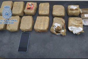 L'olfacte més afinat d'Alacant frena el viatge a una turista amb droga - (foto 2)