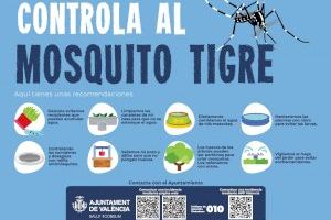 El Ayuntamiento de València ha realizado este año 118 actuaciones contra el mosquito tigre a petición del vecindario - (foto 2)