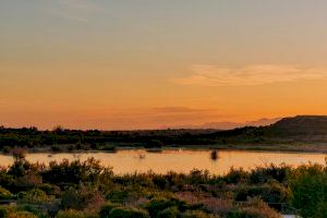 Localitzen en Santa Pola el cadàver de l'home desaparegut dijous passat a Elx